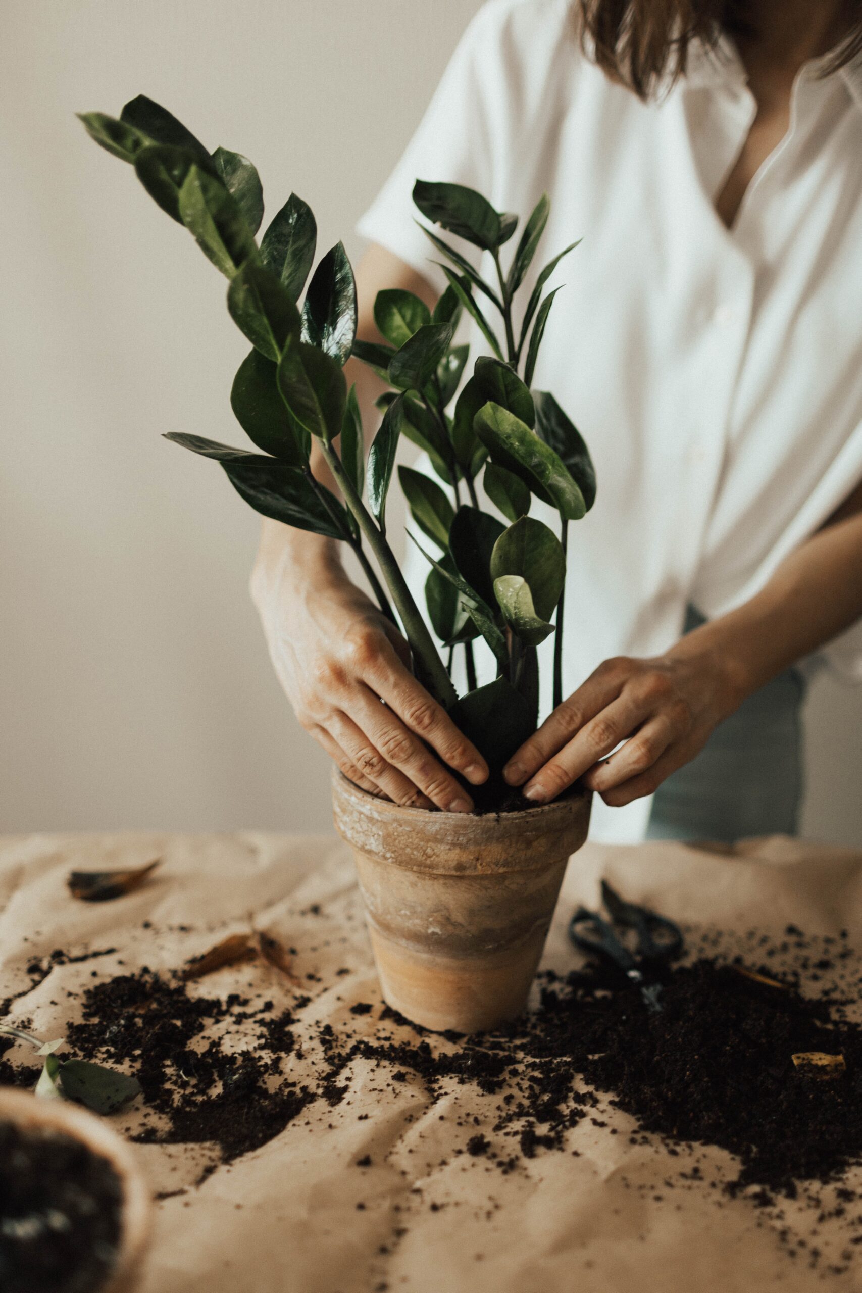 pexels-valeria-ushakova-3094208 Discover Peace And Happiness Through Gardening